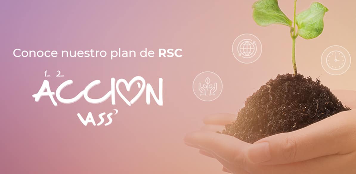 Vass Consultoría de informática