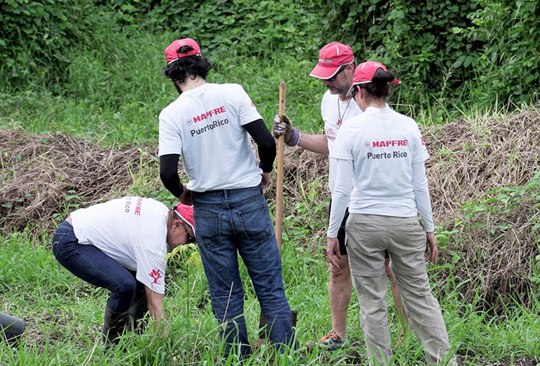 Trabajo en equipo