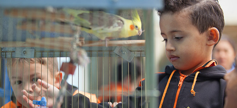 ACRICA brings education and art to underprivileged environments Casa dos Girassóis provides support to 241 minors in Piraguara