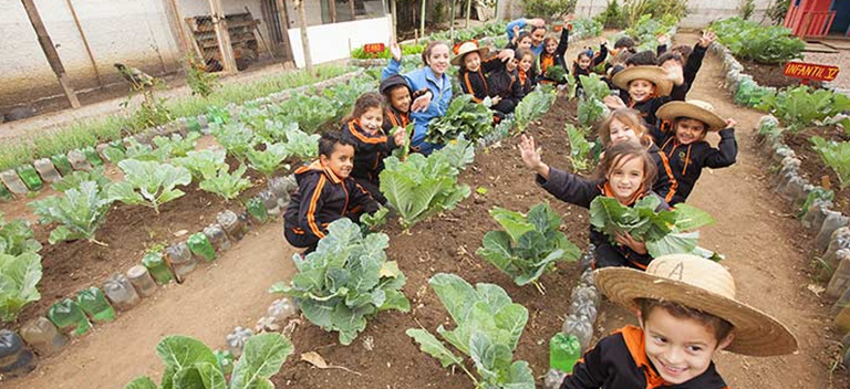 Casa dos Girassóis provides support to 241 minors in Piraguara