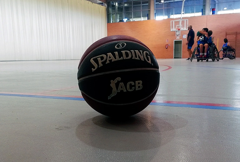 Sillas adaptadas para un equipo de baloncesto