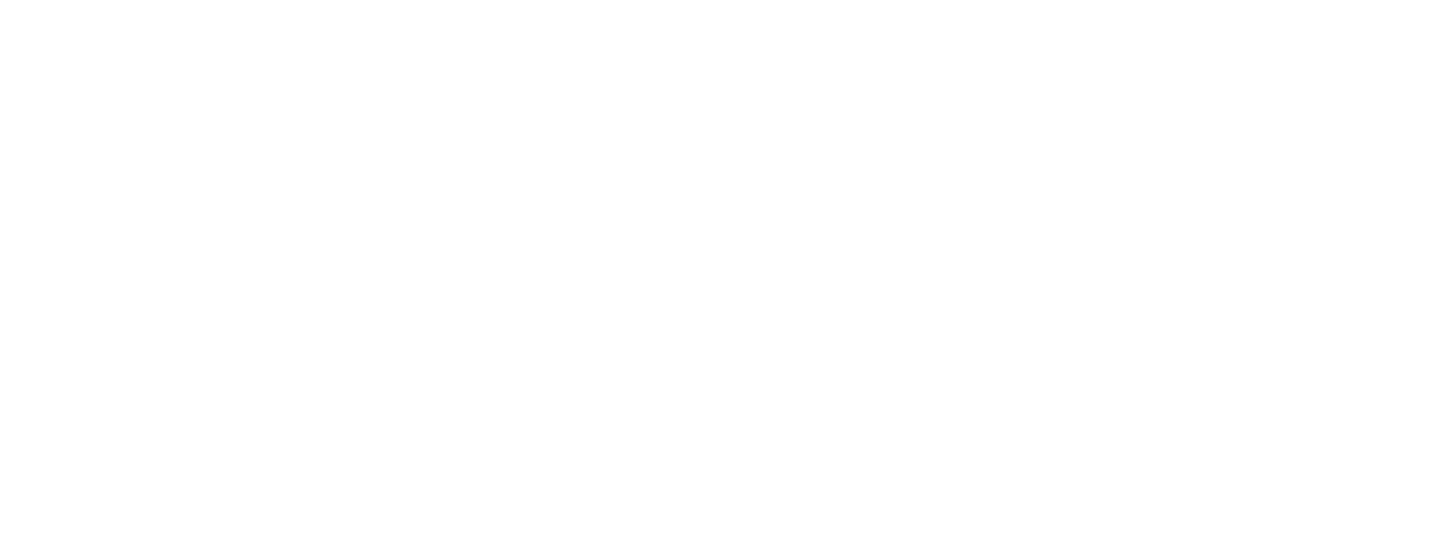 Logo ARAS