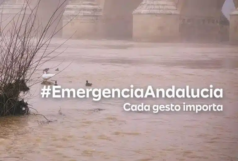 Fundación Mapfre dona 100.000 euros a los afectados por las inundaciones de Andalucía