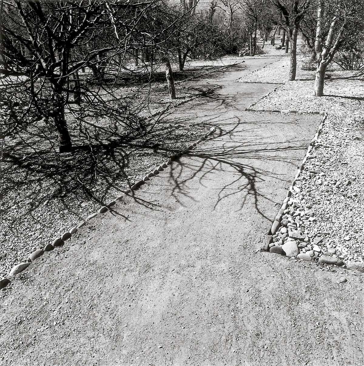 Oaxaca, México © Graciela Iturbide, 2020 © Fundación MAPFRE COLLECTIONS