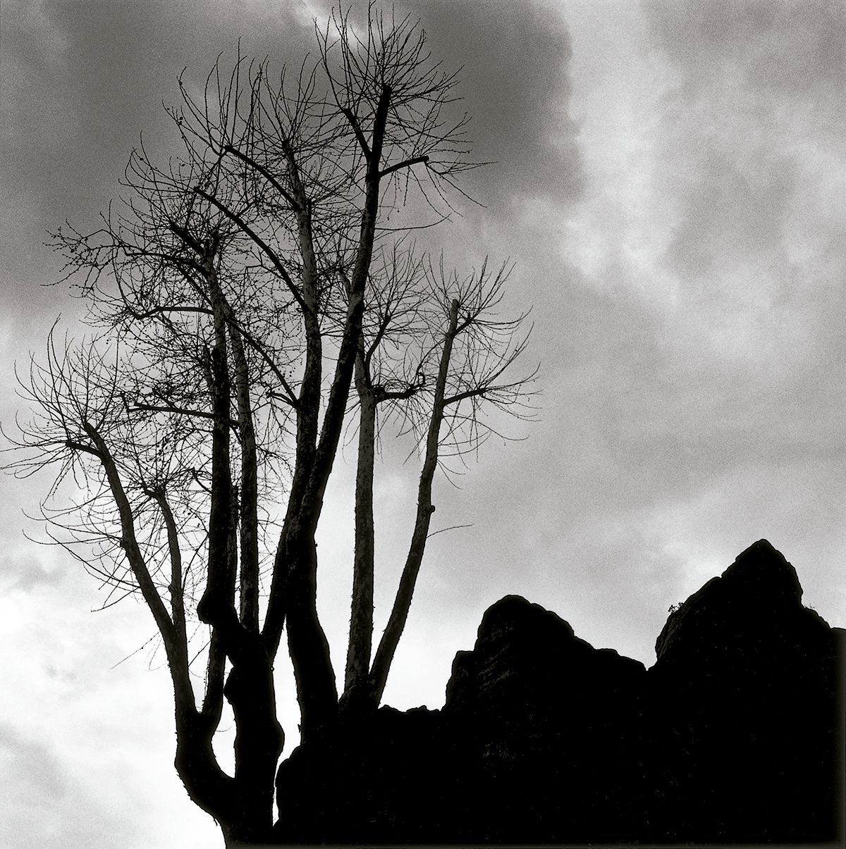 Roma © Graciela Iturbide, 2020 © Fundación MAPFRE COLLECTIONS