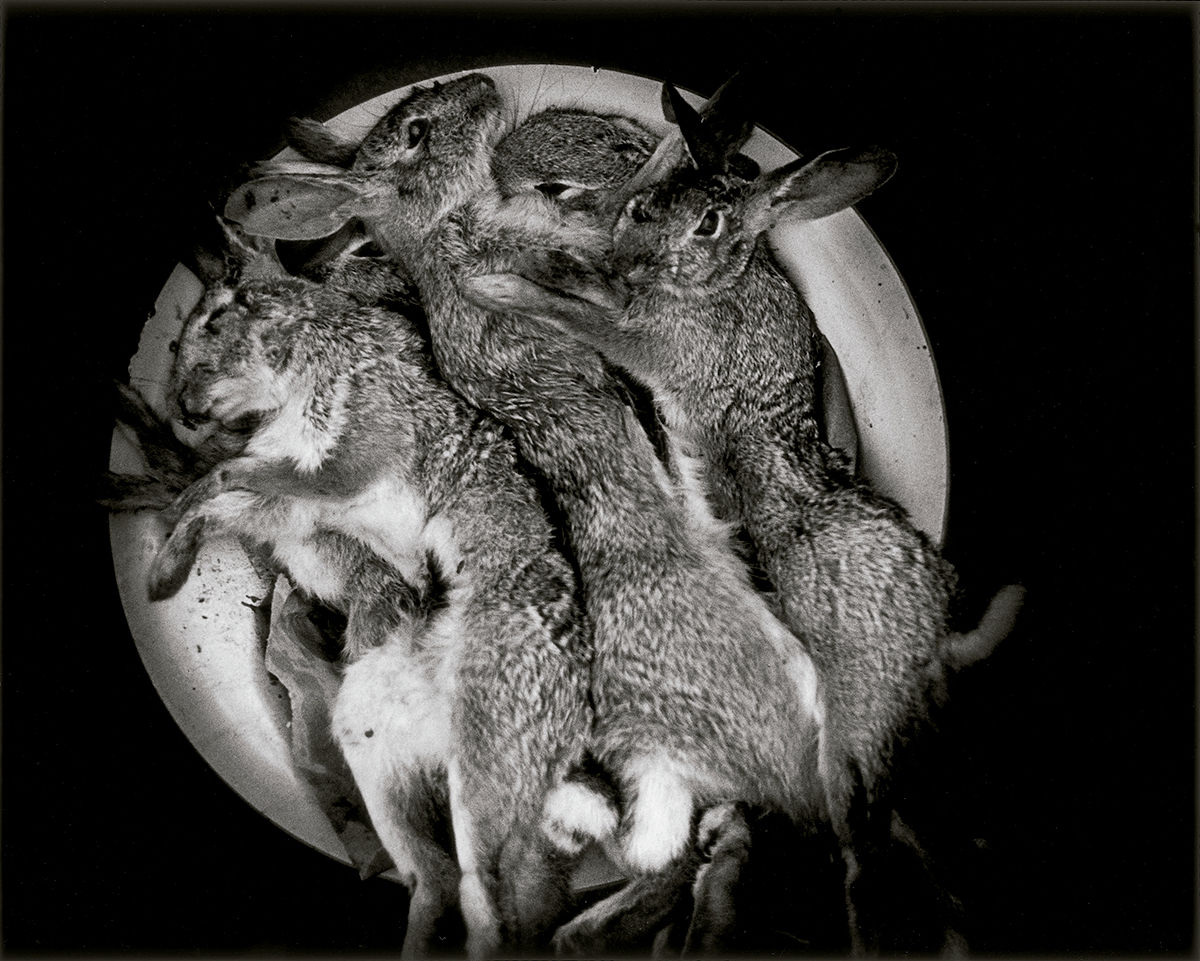 Conejos en la luna, Juchitán, México © Graciela Iturbide, 2020 © Fundación MAPFRE COLLECTIONS