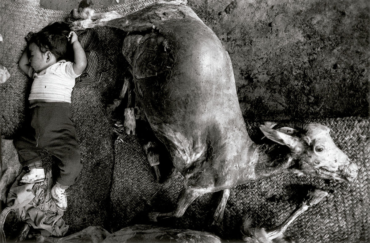 El sueño, La Mixteca, Oaxaca, México © Graciela Iturbide. © COLECCIONES Fundación MAPFRE