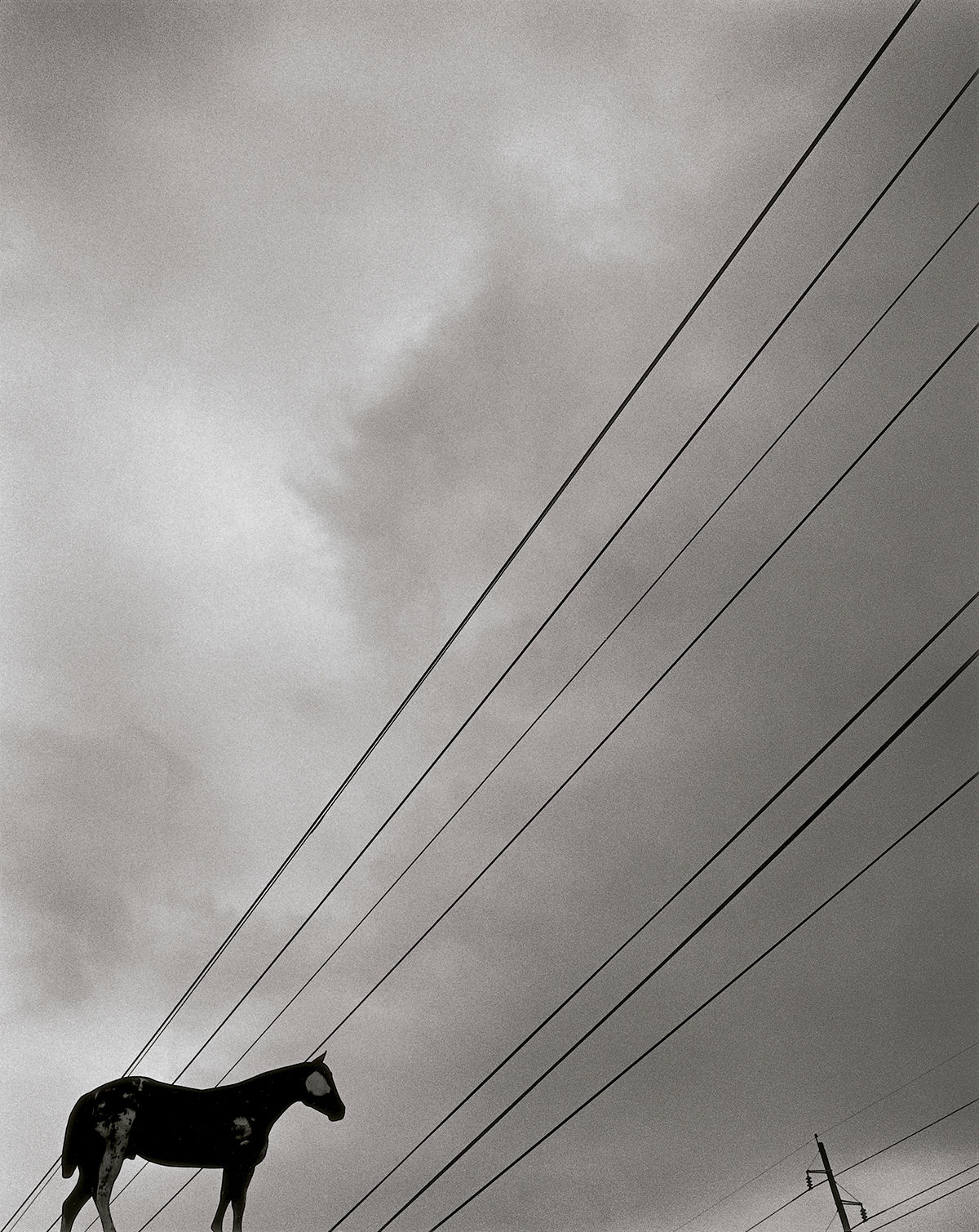 Caballo para Gerzso, Aldea Acadia, Lafayette, Louisiana, Estados Unidos © Graciela Iturbide. © COLECCIONES Fundación MAPFRE