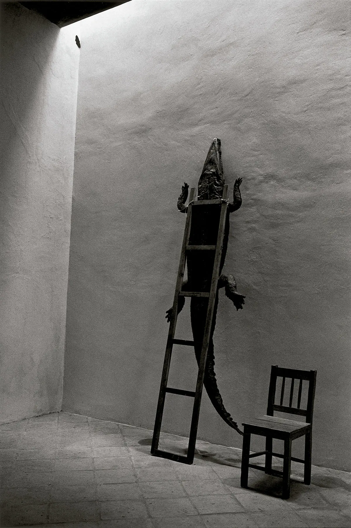 Oaxaca, México © Graciela Iturbide. © COLECCIONES Fundación MAPFRE