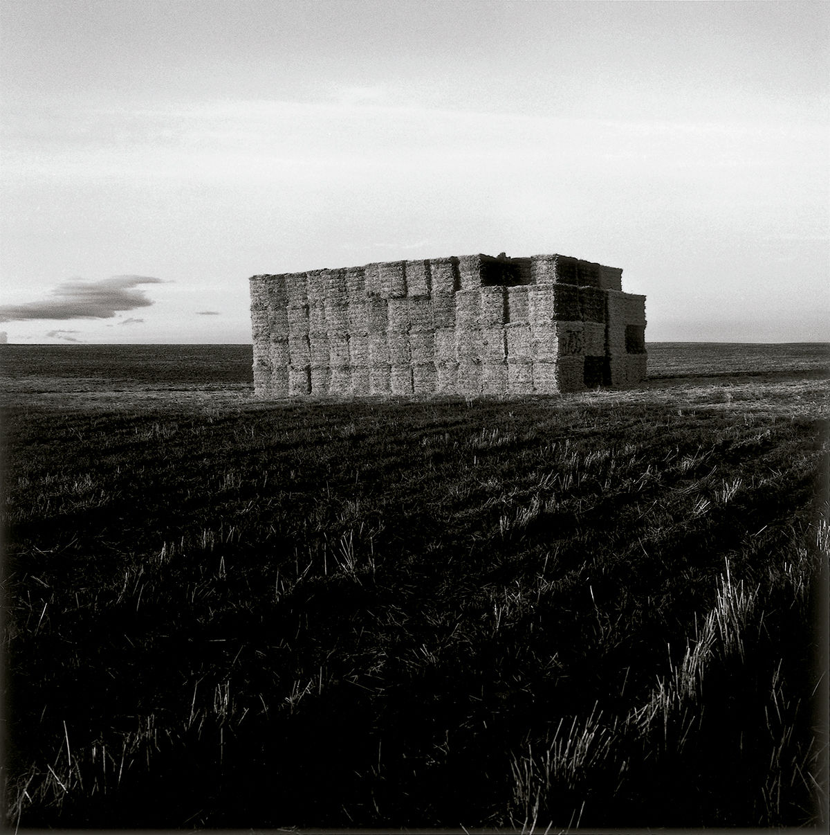 Paisaje, Estados Unidos © Graciela Iturbide, 2020 © Fundación MAPFRE COLLECTIONS