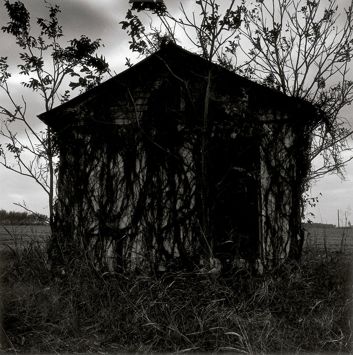 Carretera 61, de Clarksdale, Missisipi a Memphis, Tennessee, Estados Unidos © Graciela Iturbide, 2020 © Fundación MAPFRE COLLECTIONS