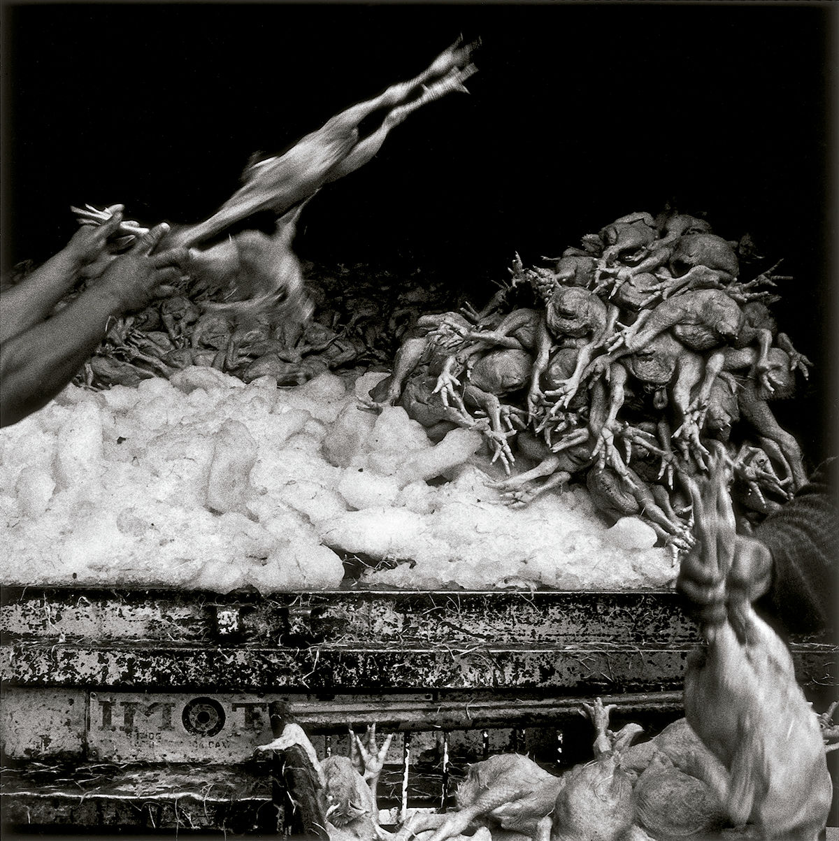 México © Graciela Iturbide, 2020 © Fundación MAPFRE COLLECTIONS