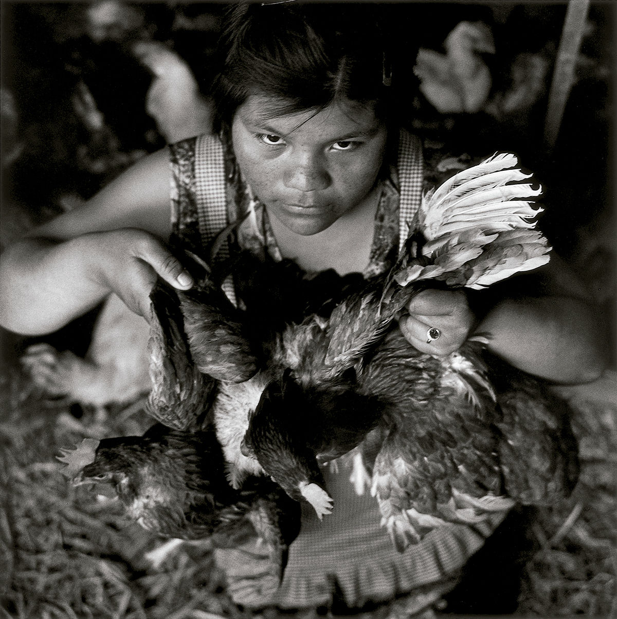Vendedora de gallinas, mercado de Sonora, Ciudad de México © Graciela Iturbide, 2020 © Fundación MAPFRE COLLECTIONS