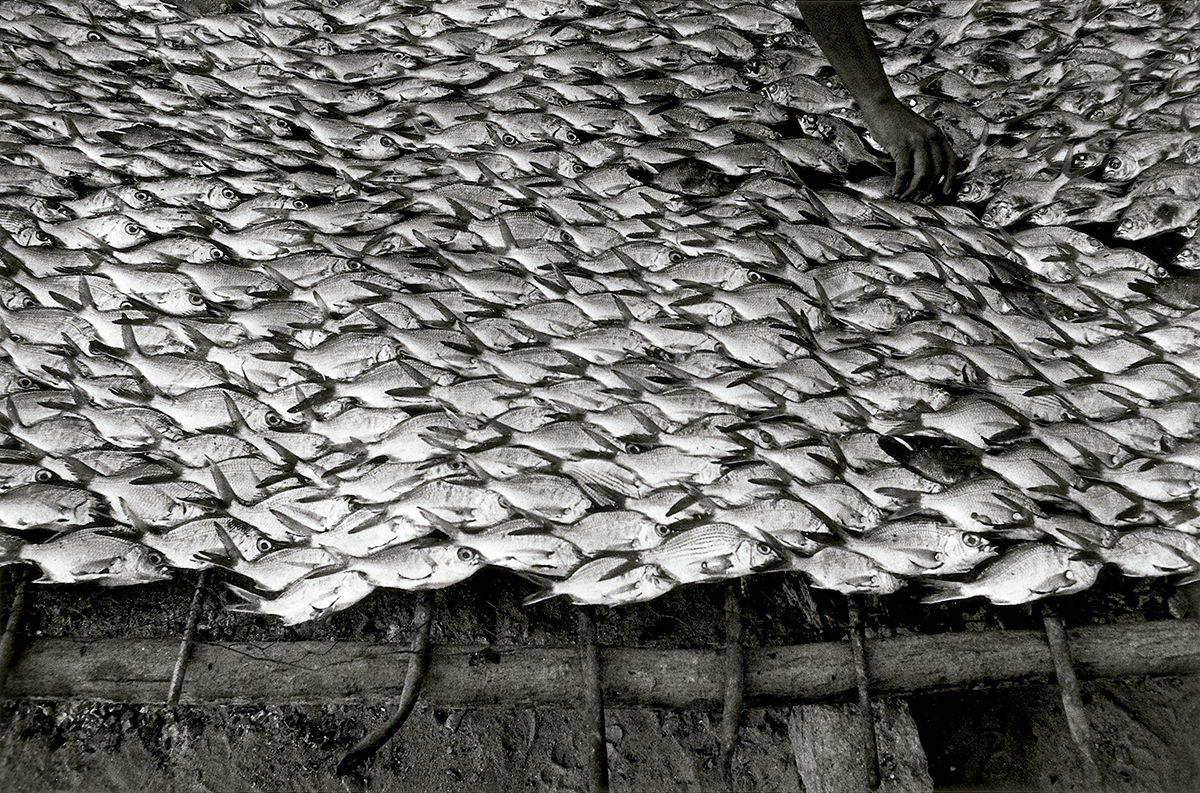 Pescaditos de Oaxaca, México © Graciela Iturbide, 2020 © Fundación MAPFRE COLLECTIONS