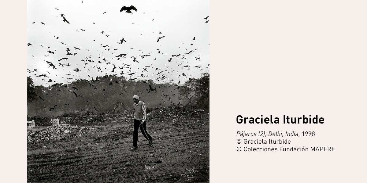 Pájaros [Birds] (2), Delhi, India (Graciela Iturbide) - Fundación