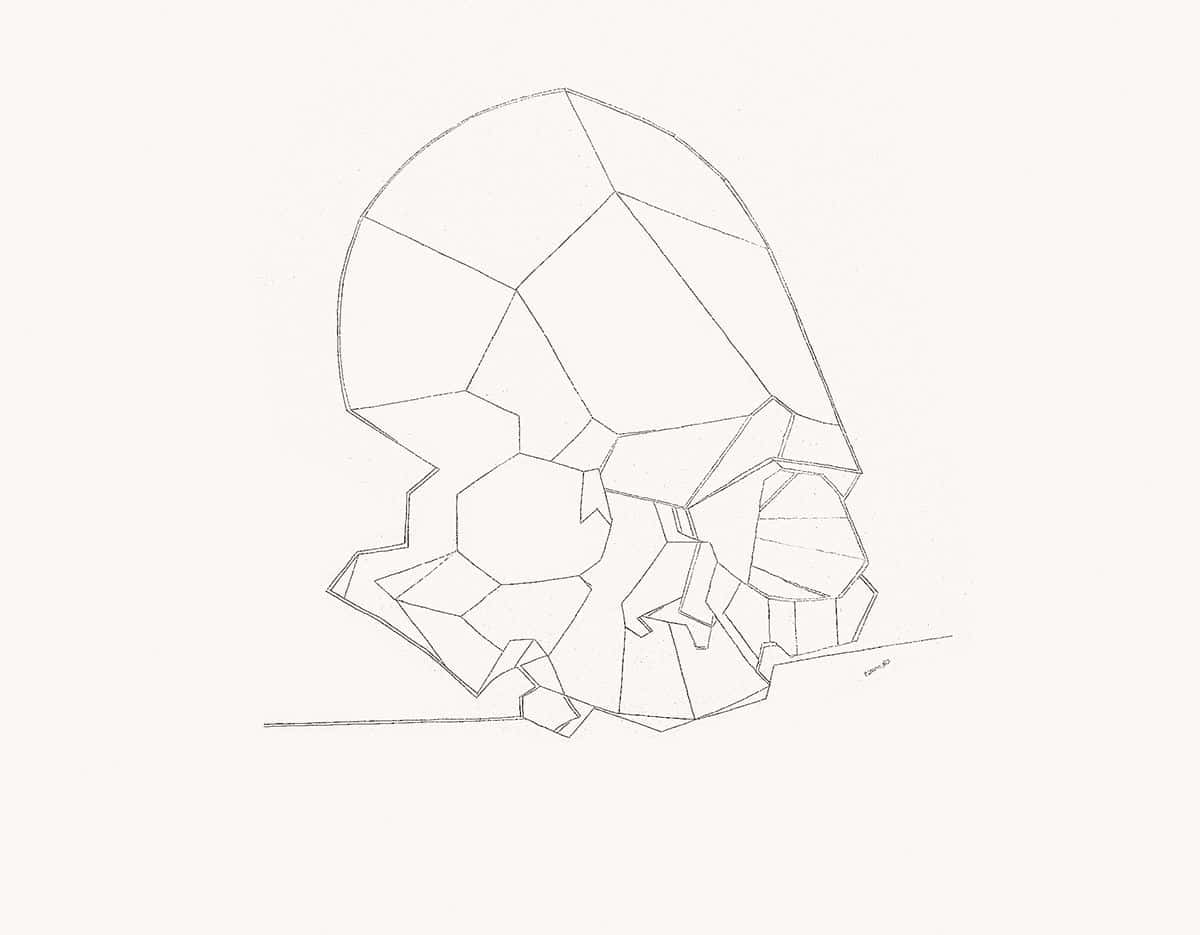 Crâne © Luis Fernández. VEGAP, Madrid, 2022