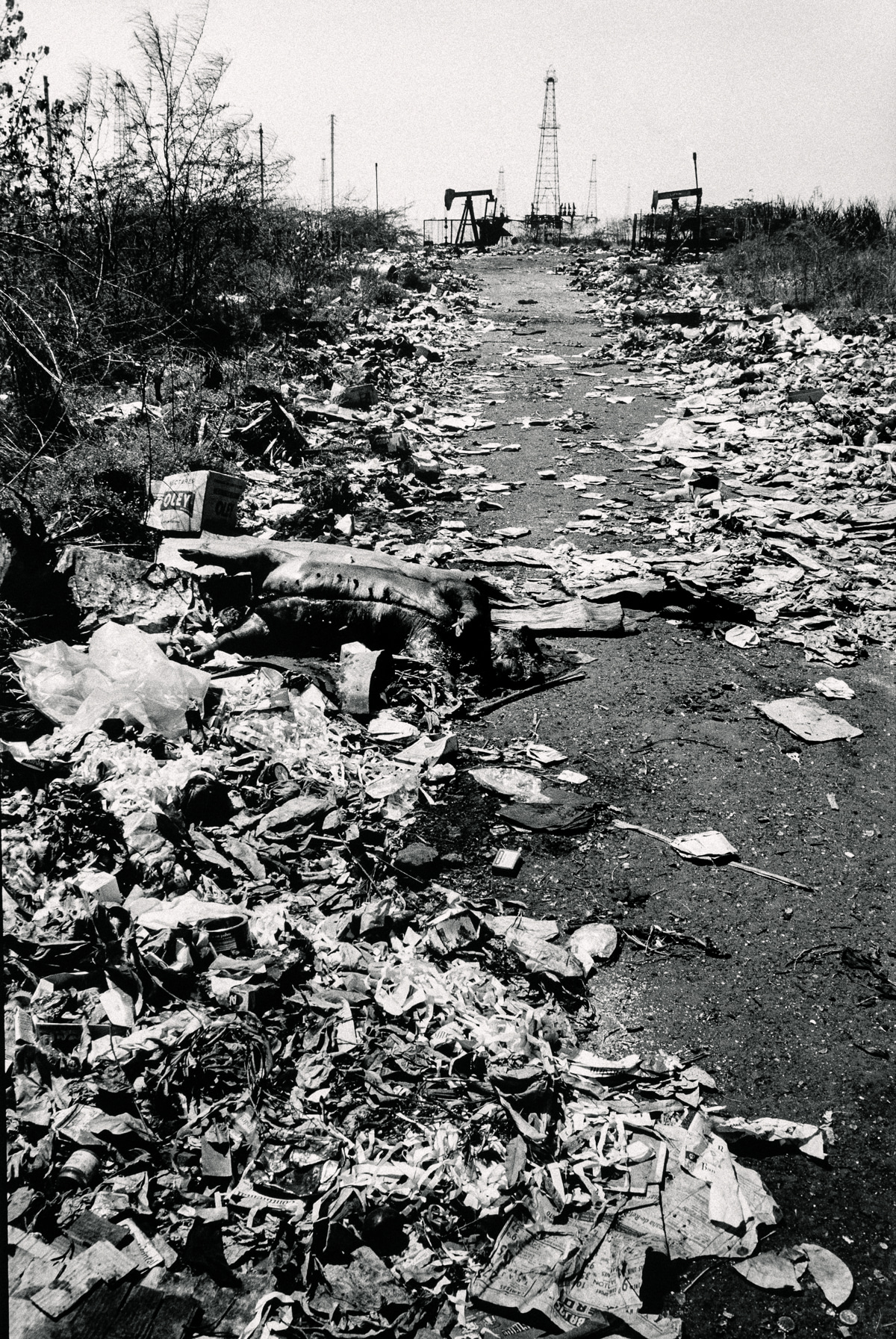 "El camino del oro negro, Cabimas, Venezuela [Imagen del Congreso Cultural de Cabimas diciembre de 1970] "