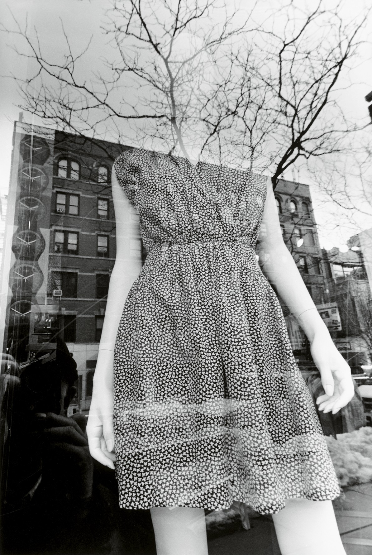 Lee Friedlander Naturaleza empoderada
