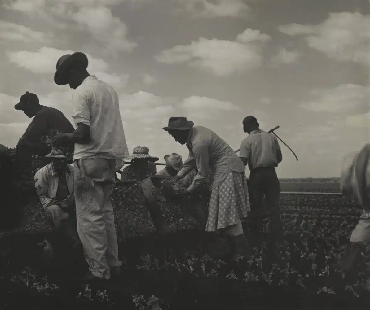 Consuelo Kanaga Tennessee, 1950