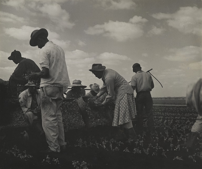 Tennessee, 1950