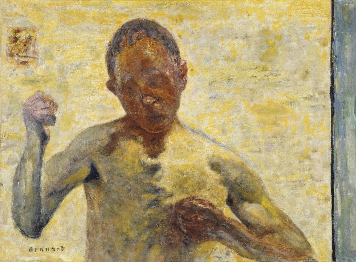 Pierre Bonnard A defining figure in the birth of modern art