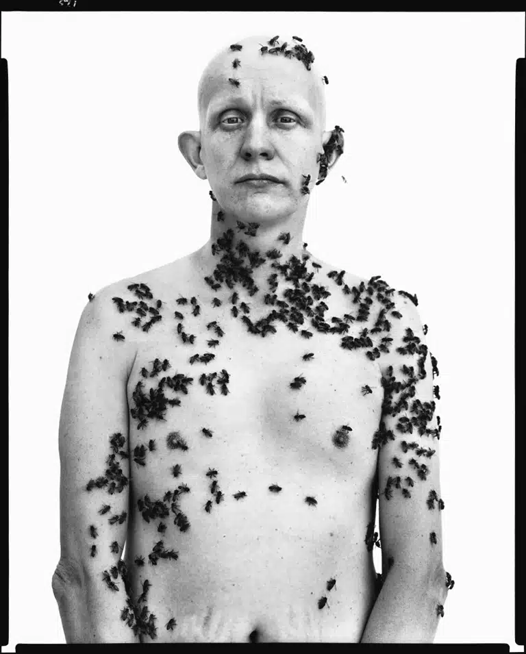 Ronald Fischer, beekeeper, Davis, California, May 9, 1987