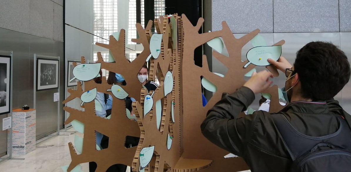 The wish tree Can you imagine a fairer and more equal society?