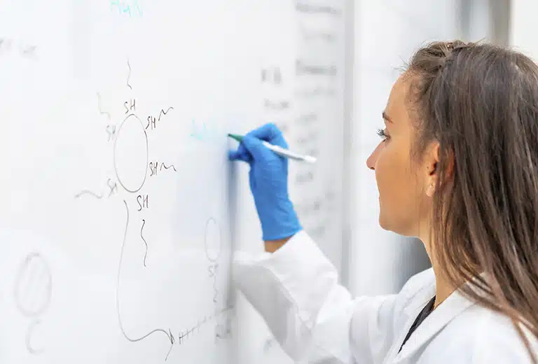 Becas de Investigación: Qué son y cuál es su importancia académica y social