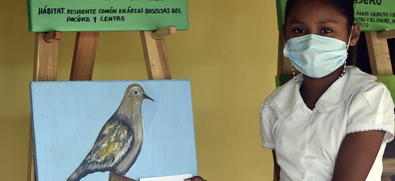Exposición de pintura de aves