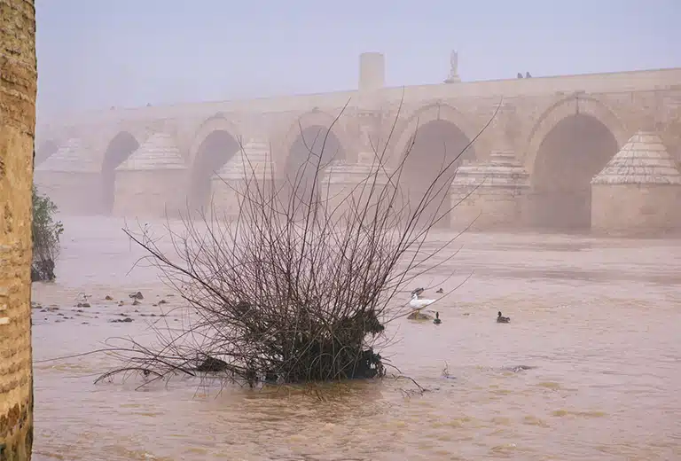#Emergencia Andalucía