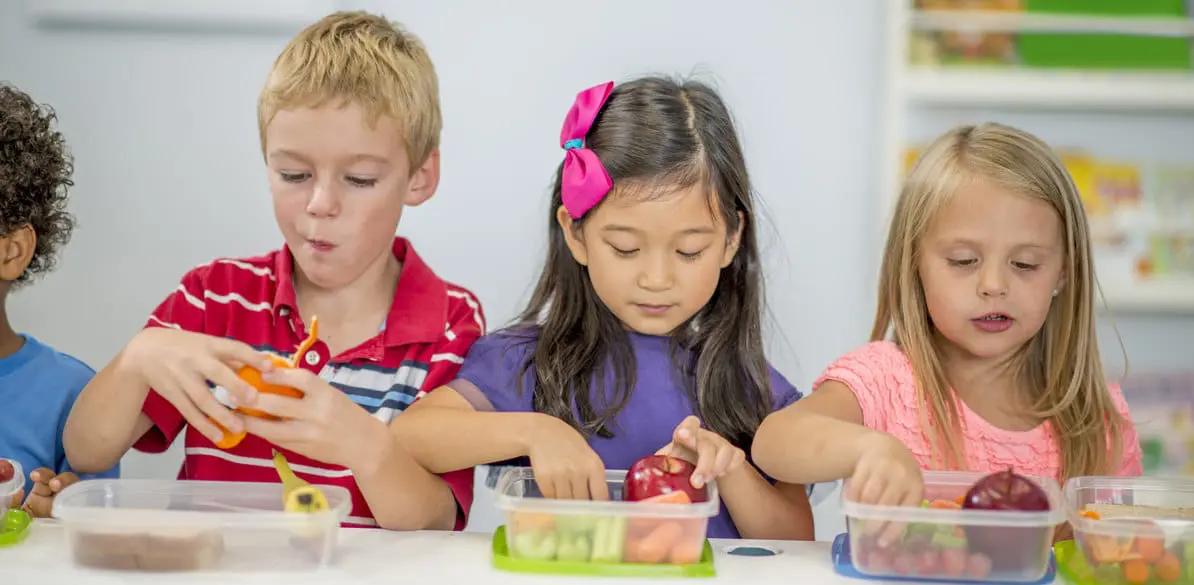 Plastic containers, a possible cause of childhood obesity