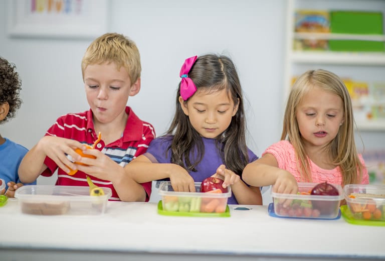 Plastic containers, a possible cause of childhood obesity