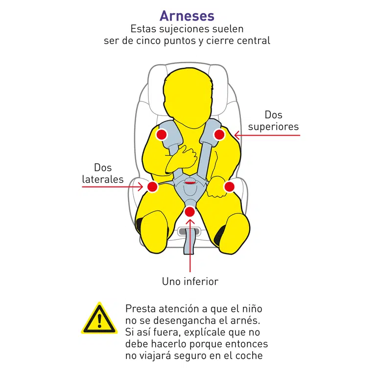 Sujeción con arnés de 5 puntos