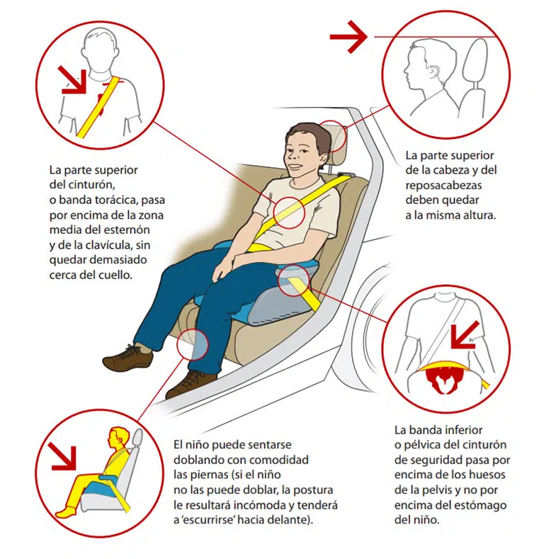 Diferencias entre un asiento elevador y una sillita con respaldo