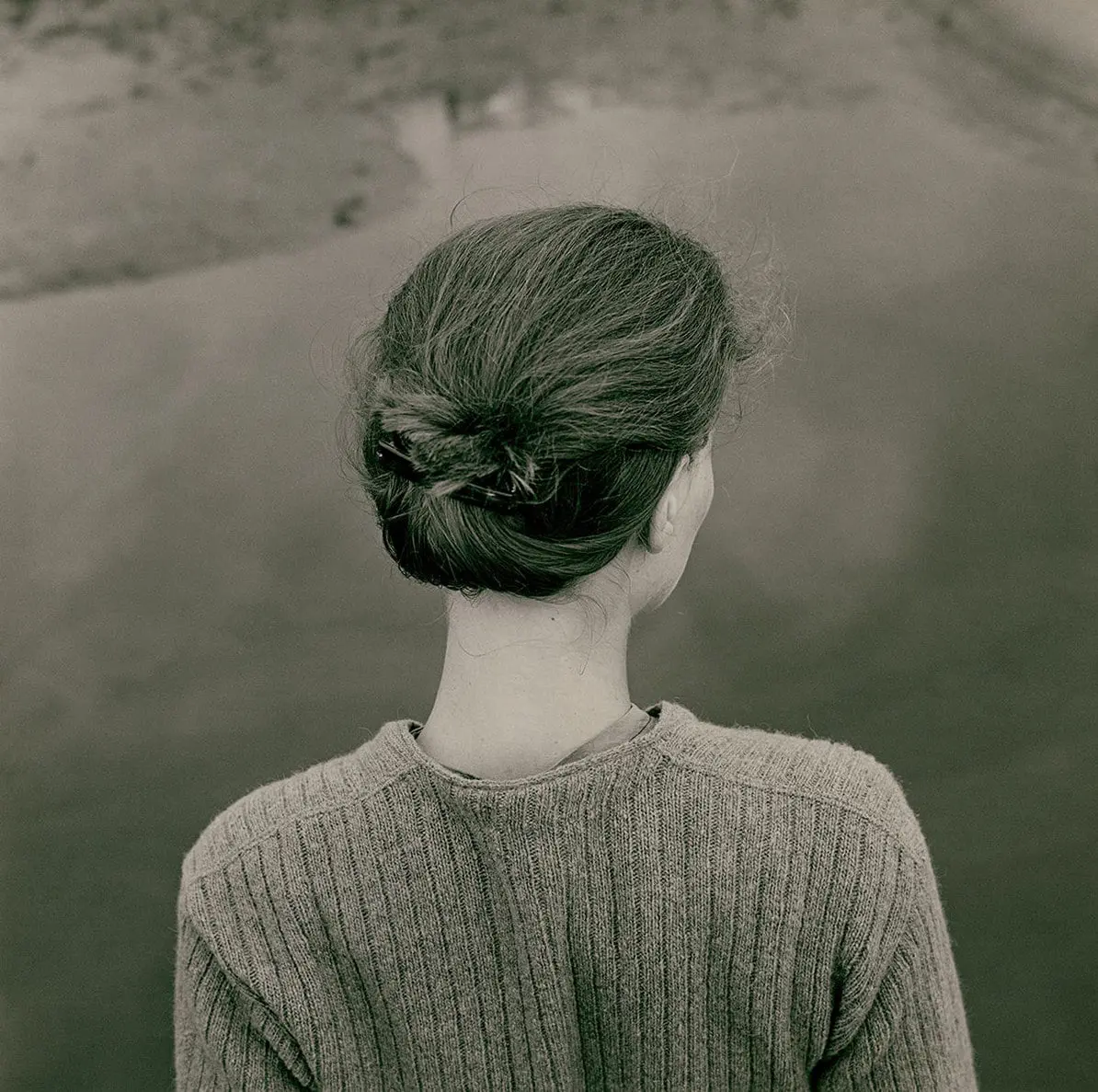 Always Edith Emmet Gowin, a world of intimate perceptions