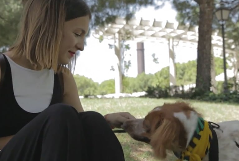 Viajar con mascotas