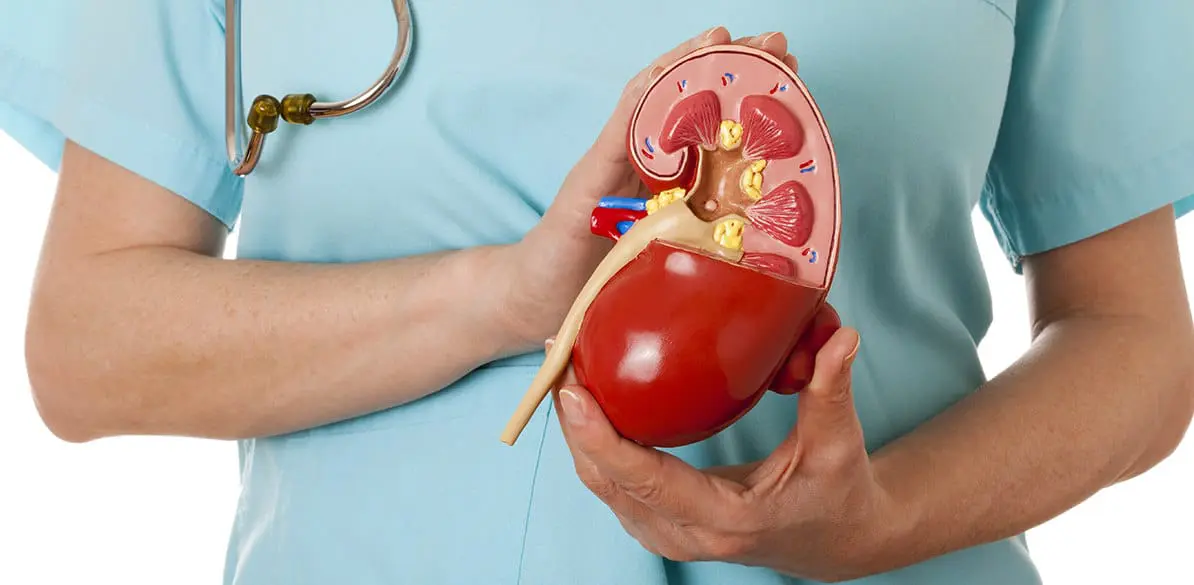 Hipertensión arterial secundaria de origen renal, aneurismas de aorta y su repercusión en la conducción La hipertensión arterial secundaria de origen renal es menos frecuente que la esencial, pero tiene una gran repercusión en la conducción
