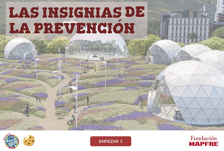 Prevención Las insignias de la prevención