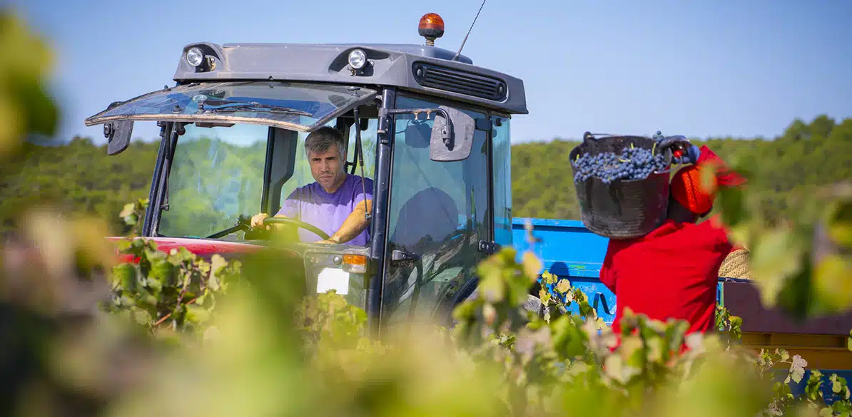 Fundación acción contra el hambre Person working in a field while a tractor driver operates a tractor, as part of sustainable rural initiatives to improve employment and entrepreneurship in rural areas.