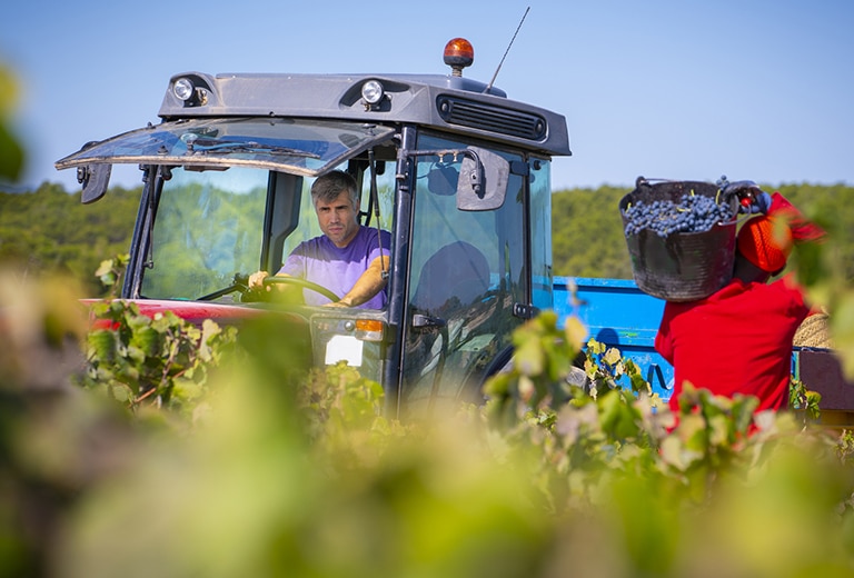 Fundación acción contra el hambre Person working in a field while a tractor driver operates a tractor, as part of sustainable rural initiatives to improve employment and entrepreneurship in rural areas.