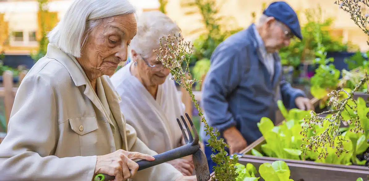 Cruz Roja Española Older people tending an urban garden in planters: older woman with hand tool in foreground and two other people working among green plants.
