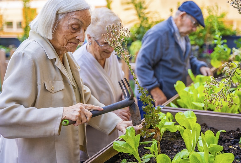 Red Cross Spain Older people tending an urban garden in planters: older woman with hand tool in foreground and two other people working among green plants.