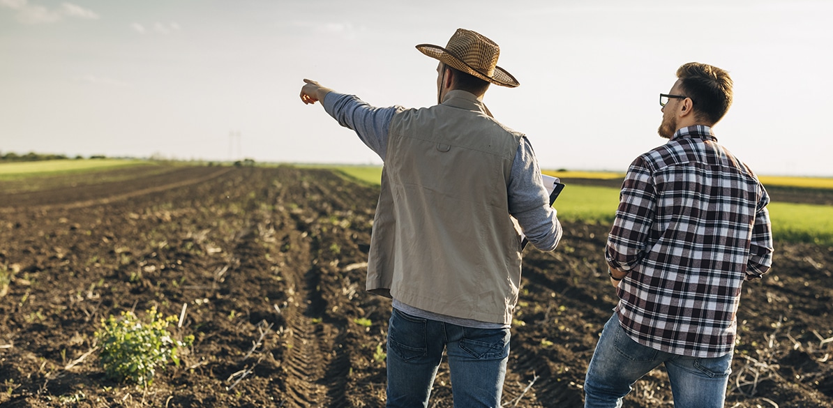 25 projects for the rural future: +Rural Grants Male farmers inspecting a freshly plowed field at sunset, one pointing to the plot as they review the agricultural land for sustainable rural production planning and management.