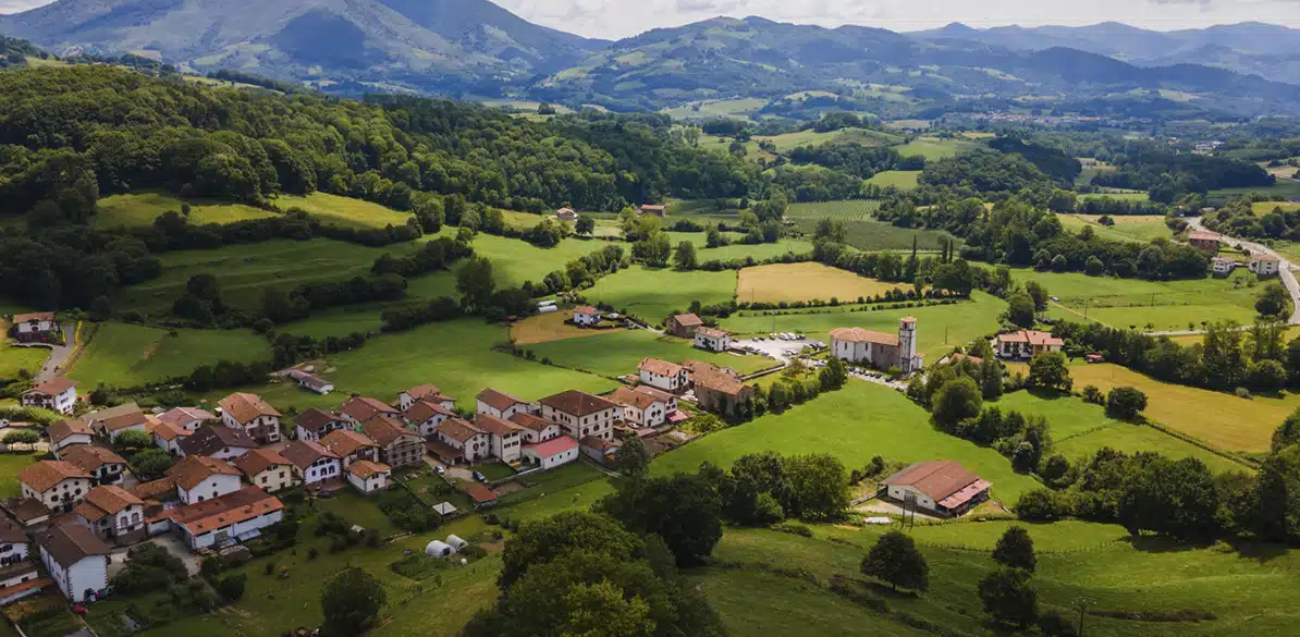 Forum on Challenges and Opportunities in Rural Spain. Employment and social and healthcare services