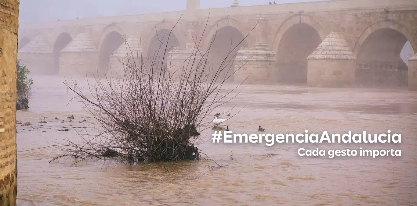 Imagen área de un campo castellano por la mañana
