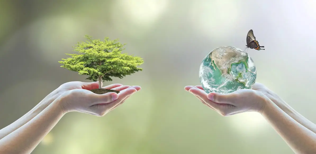 Objetivos de Desarrollo Sostenible - Fundación MAPFRE