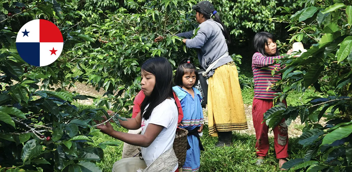 Presencia Internacional - Panamá Conoce los proyectos y programas que Fundación MAPFRE tiene en Panamá