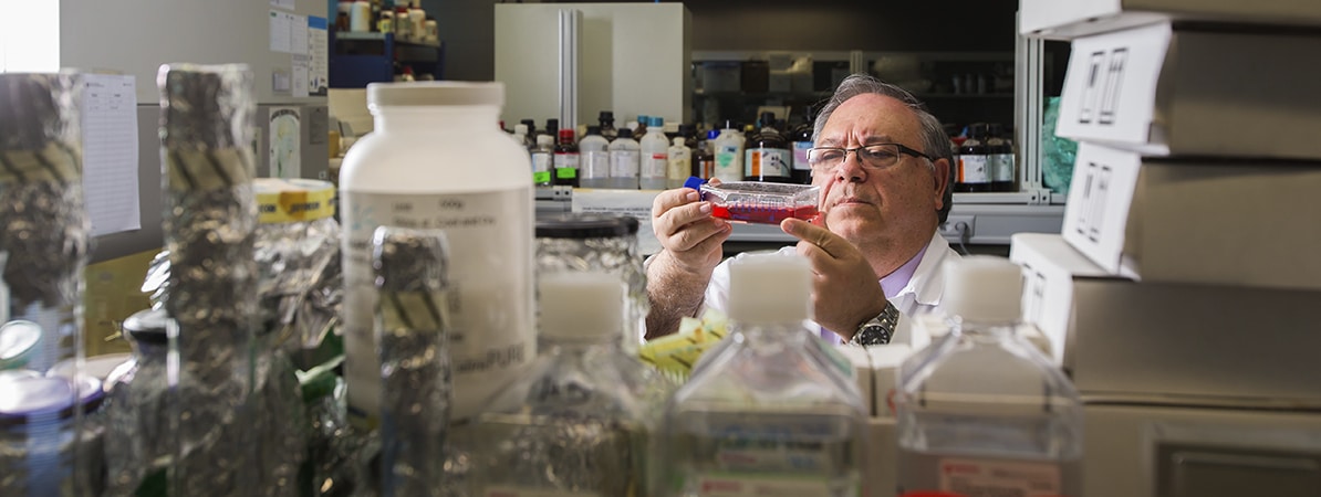 Investigador analizando una muestra en un laboratorio.