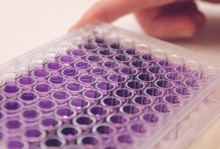 Dianox Chicle de diagnóstico para enfermedades infecciosas mortales