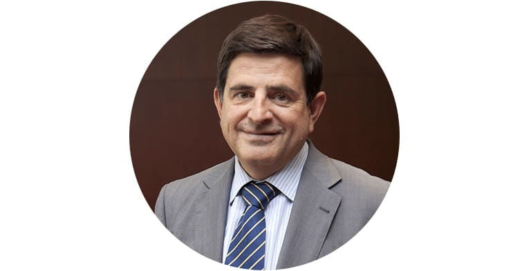 CEO of the MAPFRE Brazil Regional Area